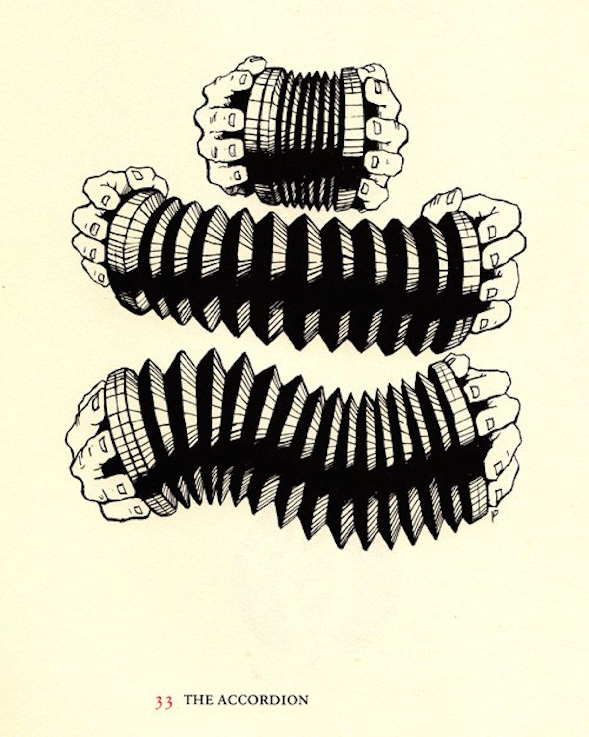 The Accordion