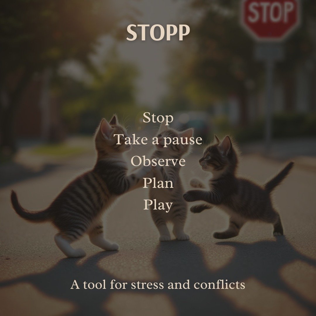 Need a tool for when your feeling emotional or overwhelmed? Try STOPP. This tool borrowed from DBT is a powerful ally in many challenging situations.
Stop the downward spiral, and take a deep breath.
Can you step away from the trigger, and get calmed