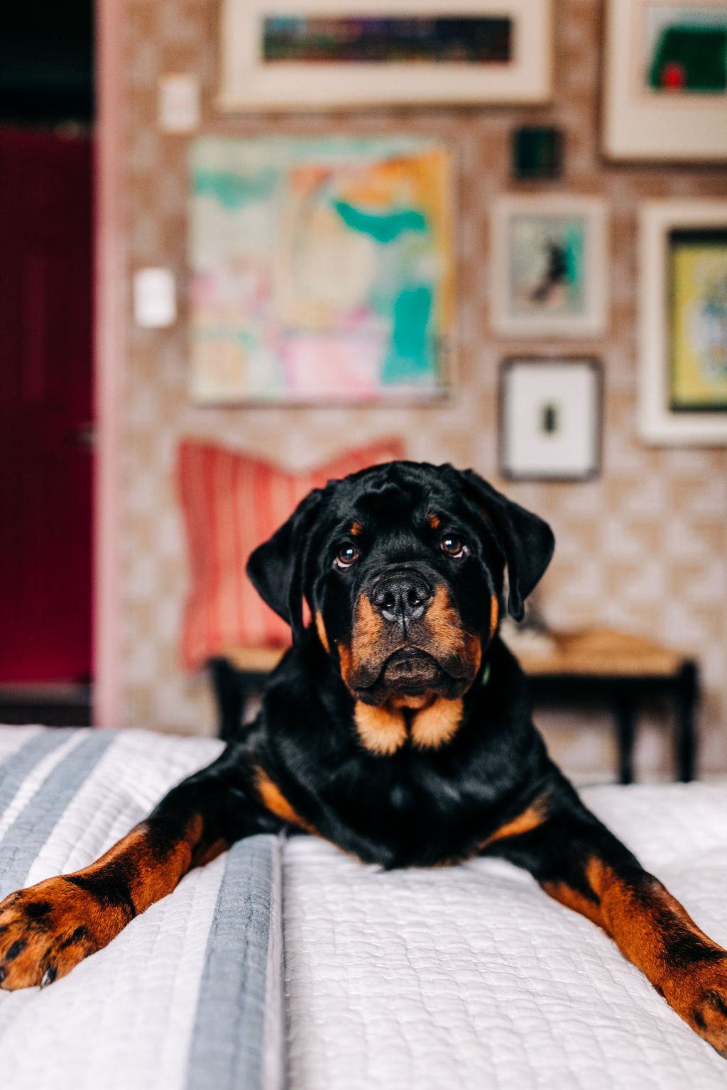 EMILYBOLTPHOTOGRAPHY_EW_022222-1.jpg