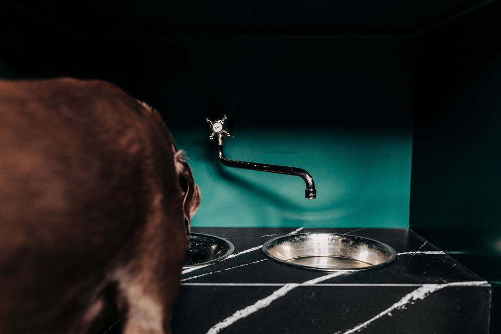 EMILYBOLTPHOTOGRAPHY_EW_022322-18.jpg