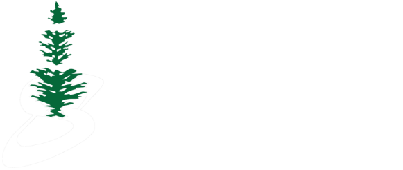 Stone Ridge Contracting