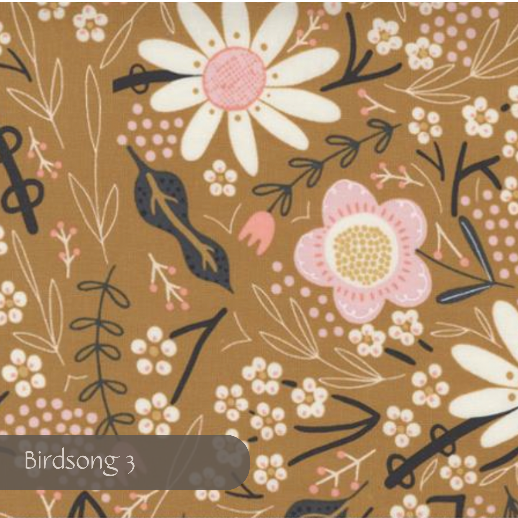 Birdsong 3.png