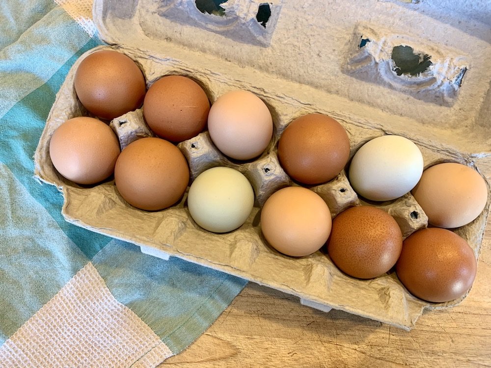 Chicken Eggs - One Dozen