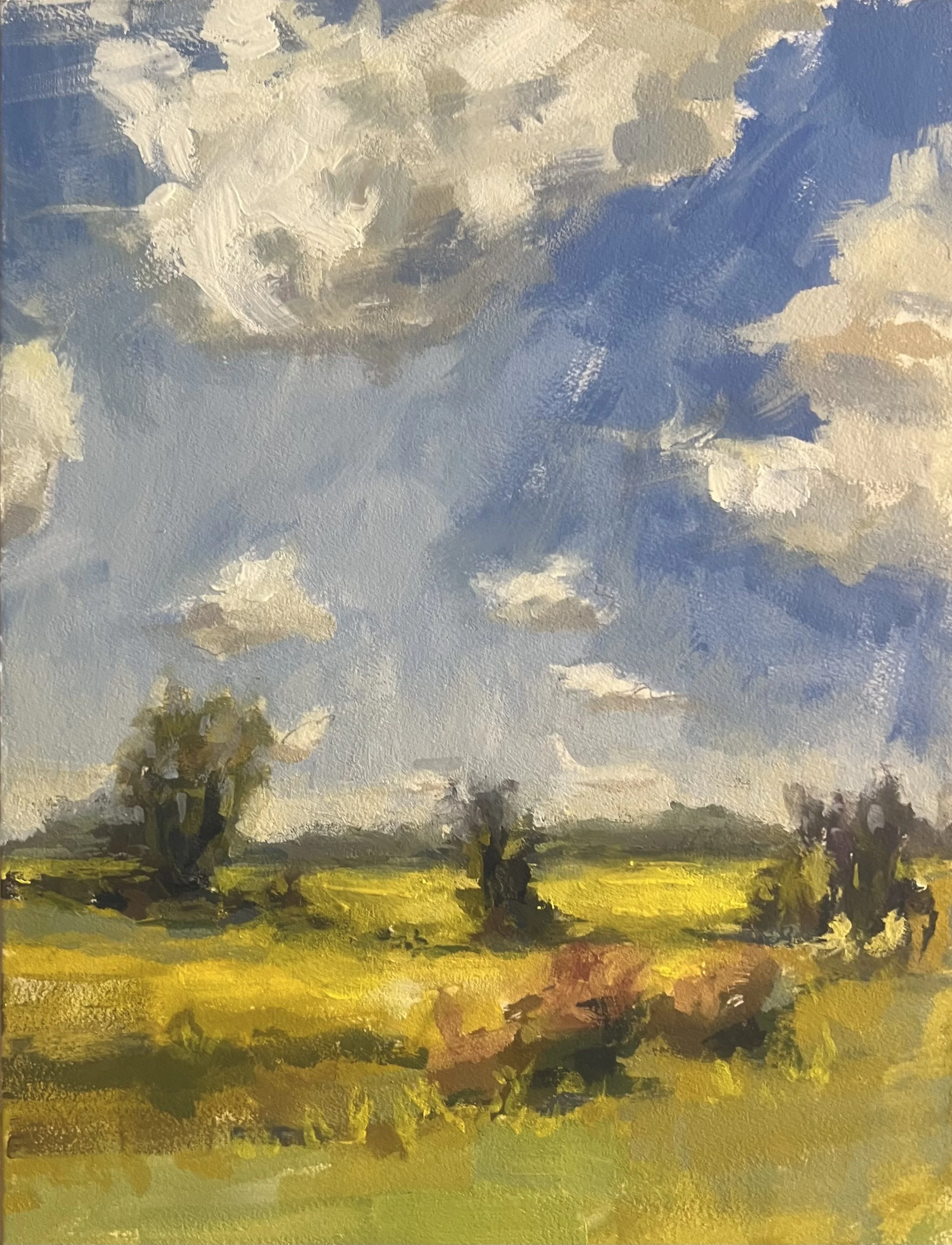 IMG_5865.jpeg