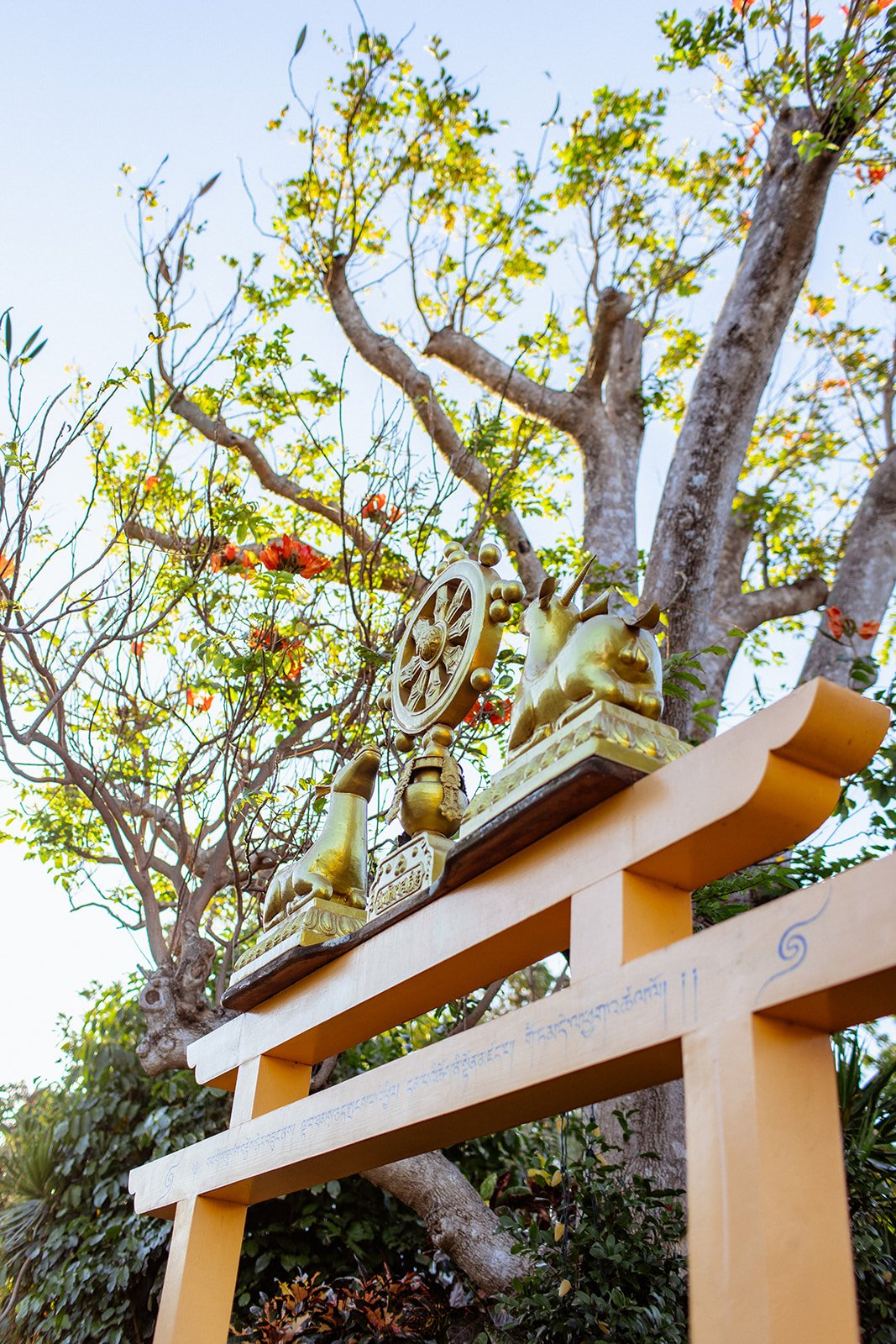 Maui-Dharma_Center-5926.jpg