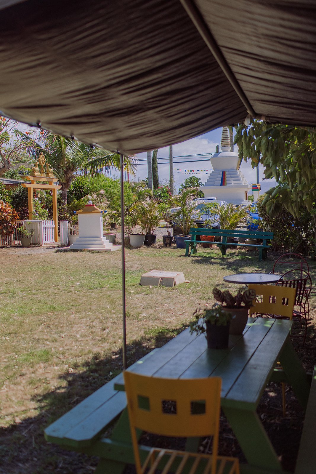 Maui-Dharma_Center-5903.jpg