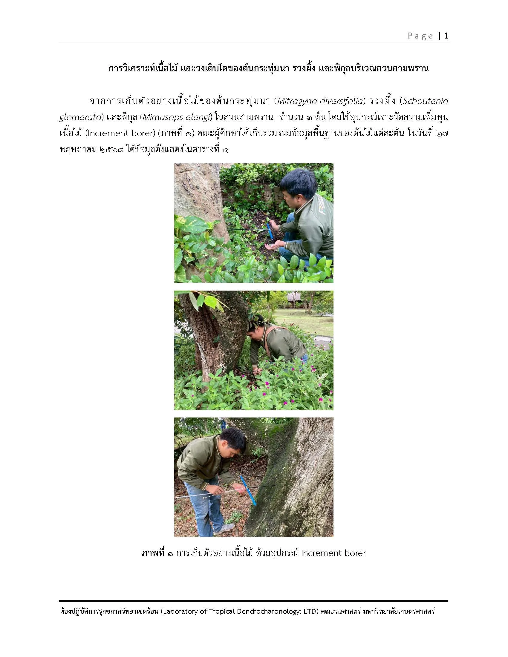 รายงาน ต้นกระทุ่มนา พิกุล รวงผึ้ง รับมา ณ ว_8.jpg