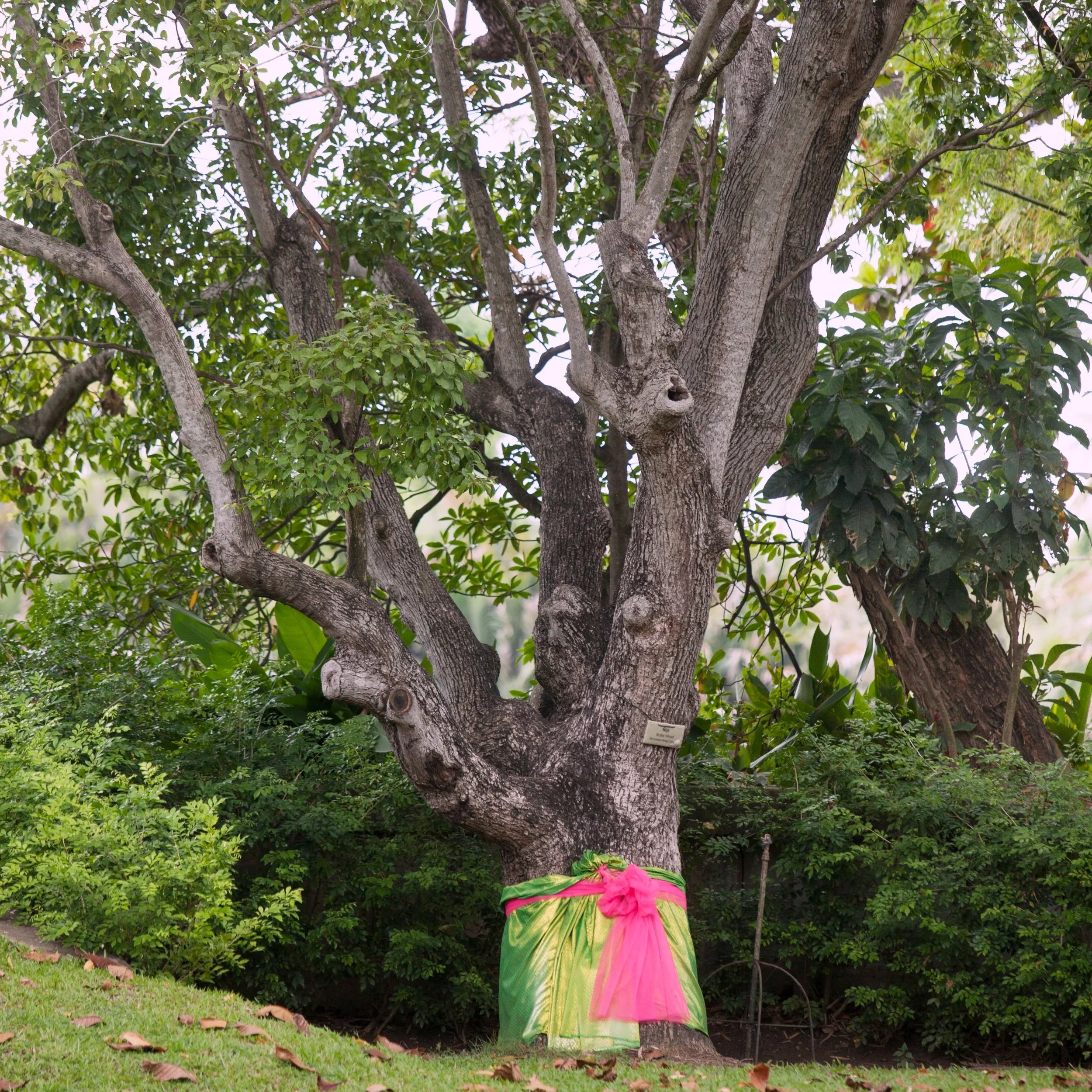 Copy of IMG_0037.jpg