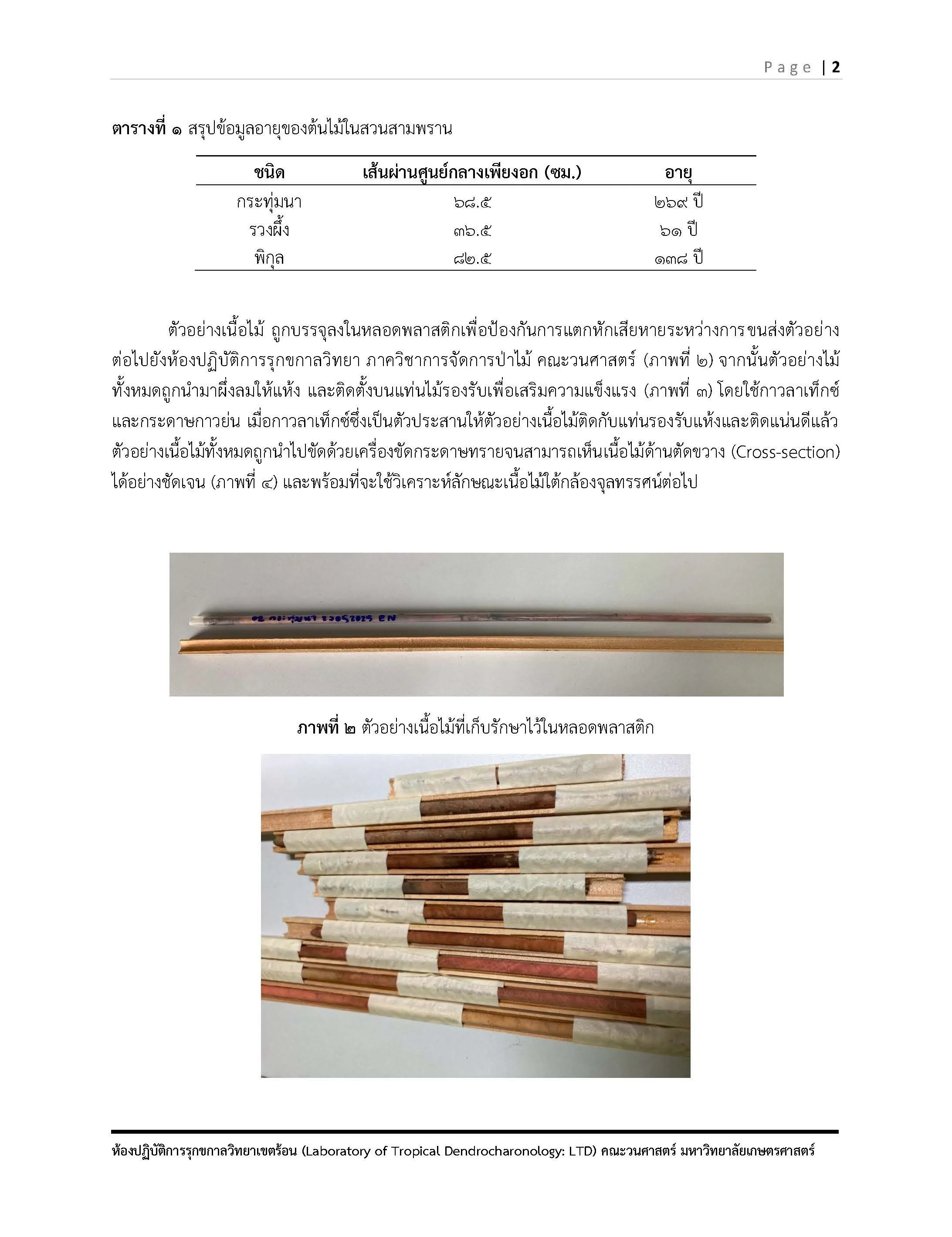รายงาน ต้นกระทุ่มนา พิกุล รวงผึ้ง รับมา ณ ว_7.jpg