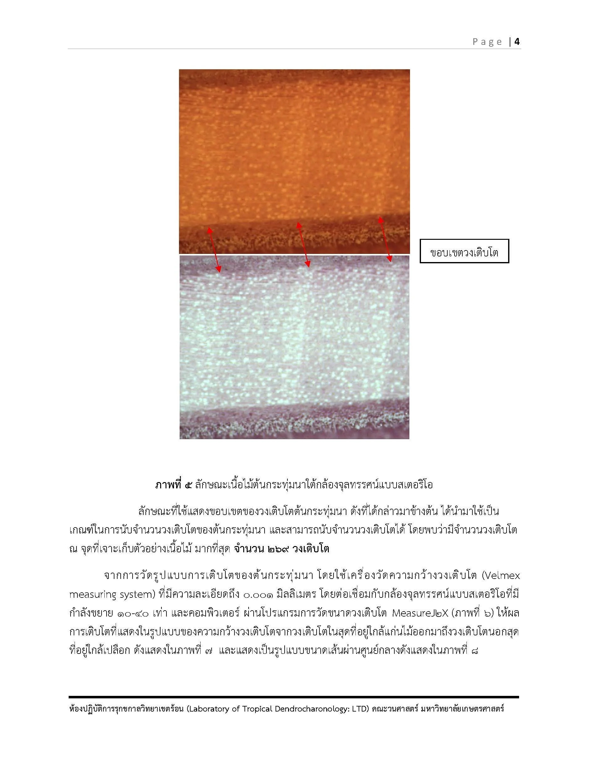 รายงาน ต้นกระทุ่มนา พิกุล รวงผึ้ง รับมา ณ ว_5.jpg