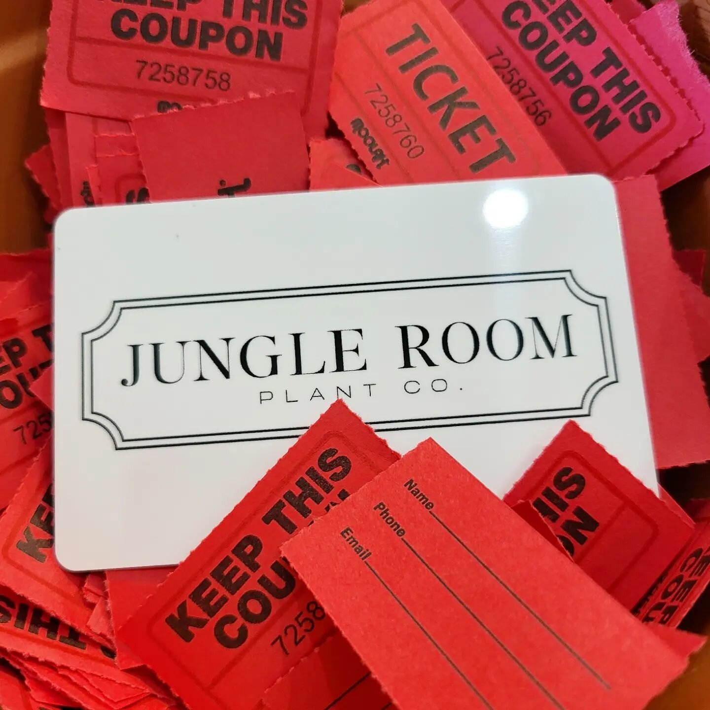Have you entered our raffle drawing yet?!?

For every $10 you spend at The Jungle Room from 07/25/23- 07/30/23, you receive a raffle ticket. 

On 07/30/23 (tomorrow) after closing at 4 p.m., I will pull 3 lucky tickets live on Instagram. 2 will win $