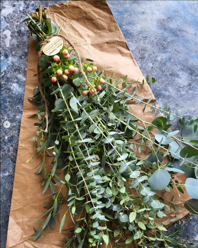 eucalyptus22.png