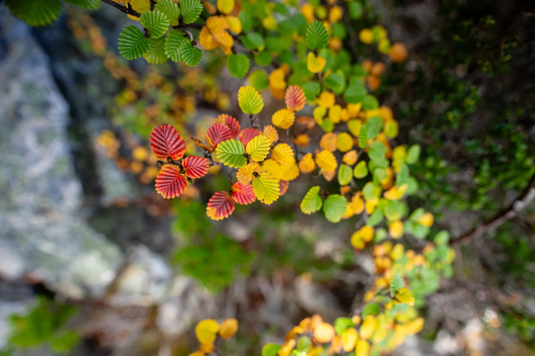 untitled (9 of 14).jpg