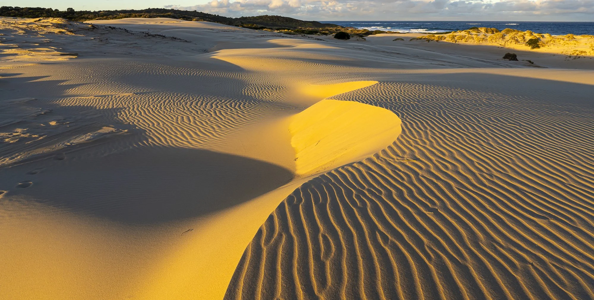 WPA – 063 – Late Dune Light