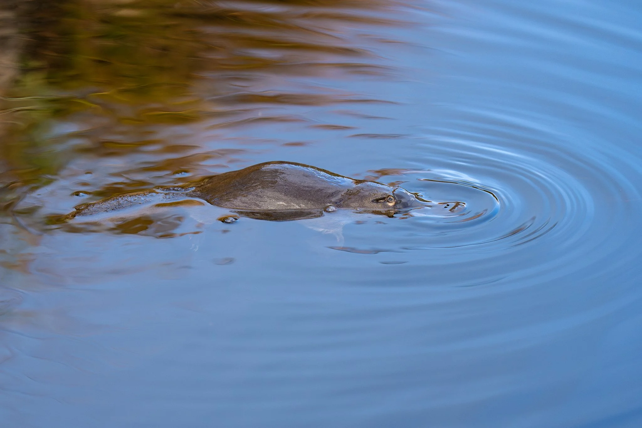 untitled (6 of 14).jpg