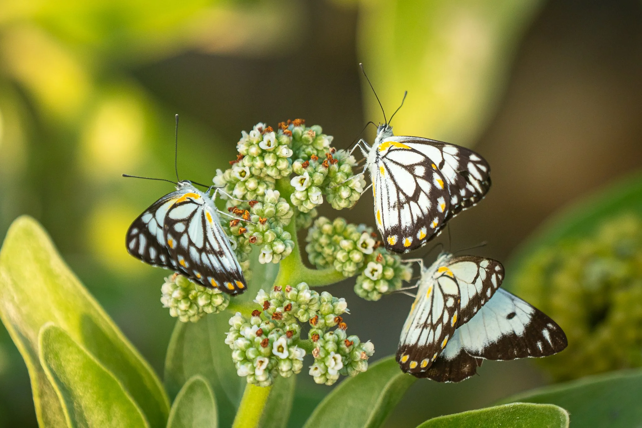 untitled (4 of 13).jpg