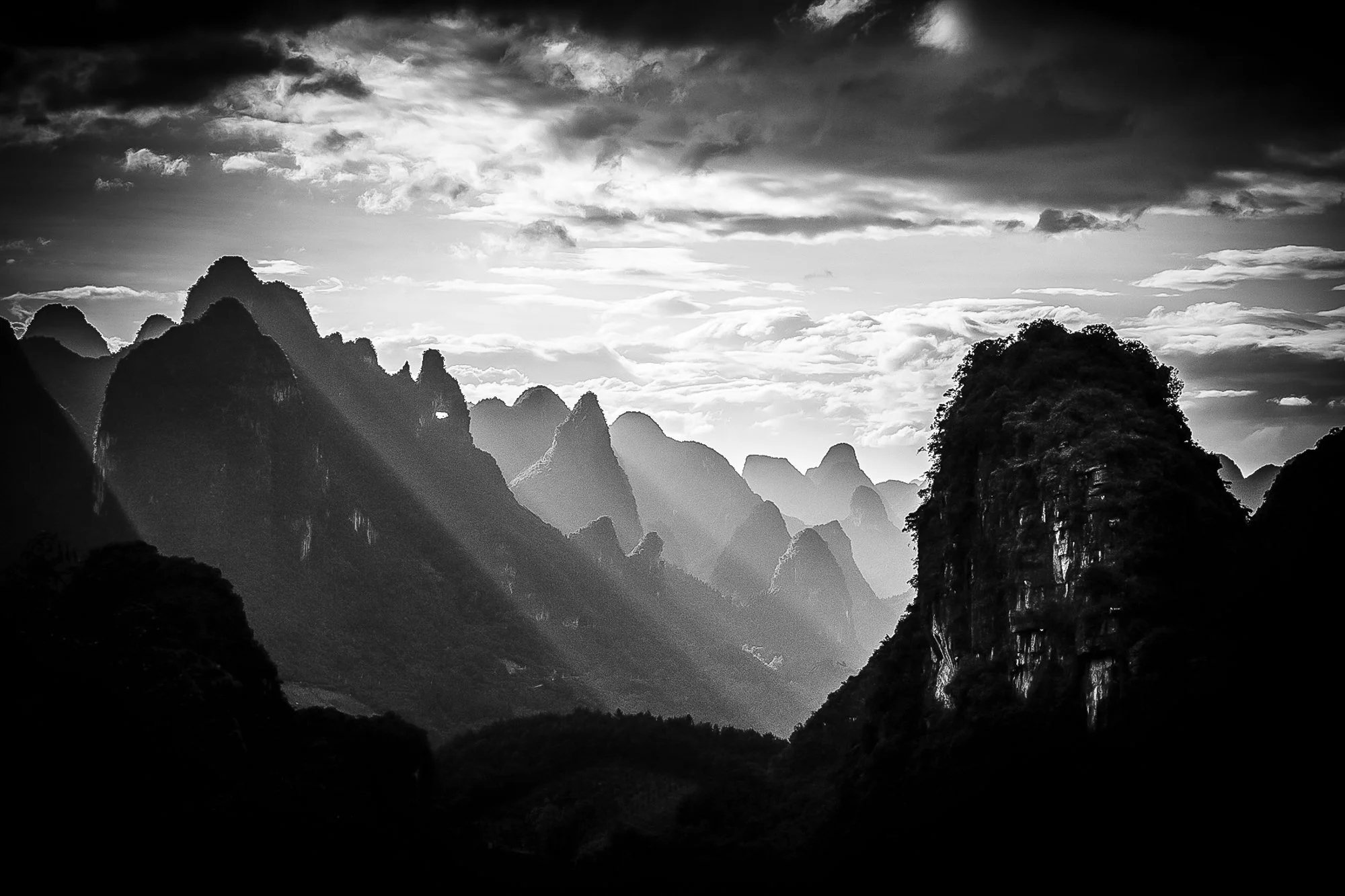 © D. LEAL 42.jpg