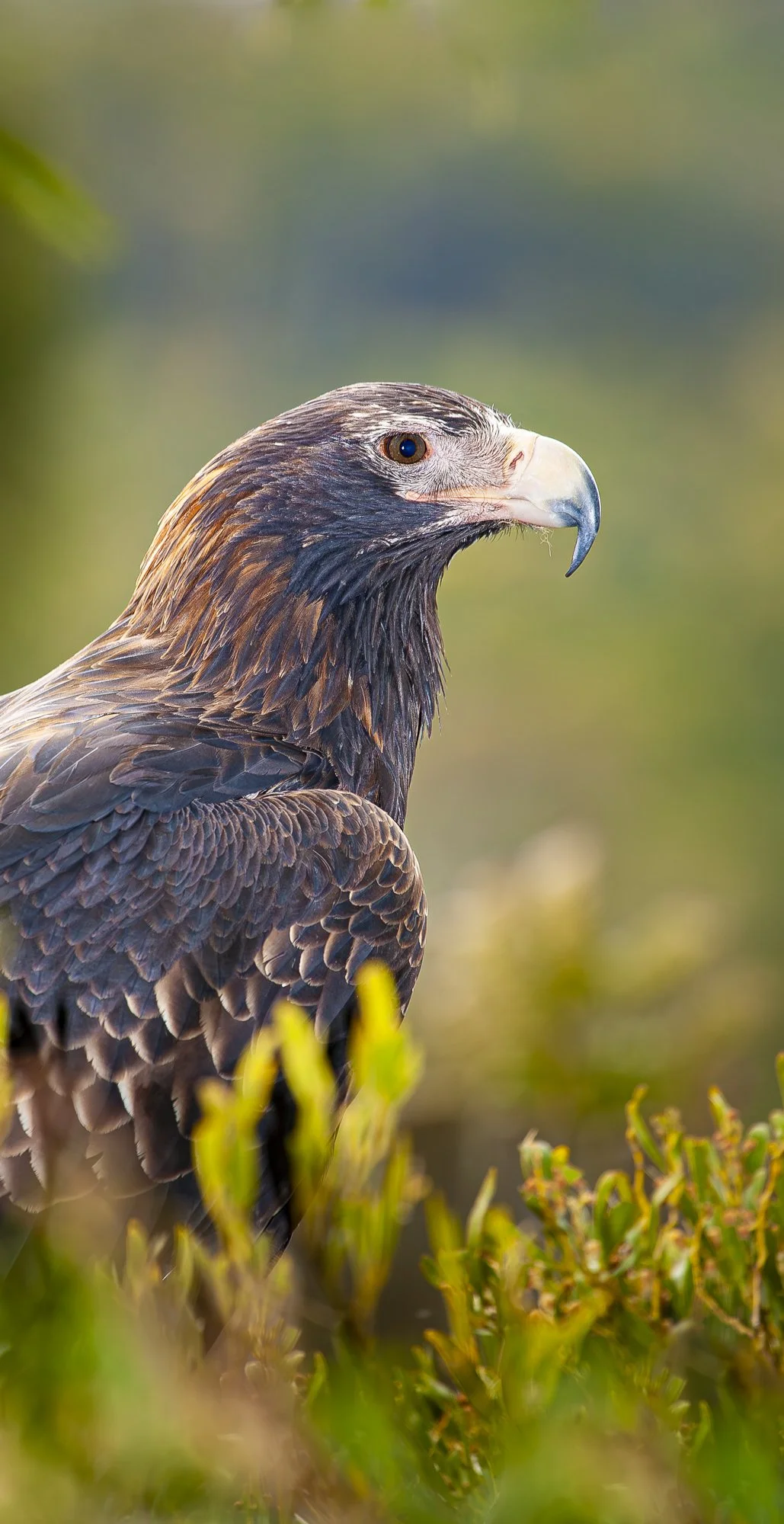 WPA - 054 - Striking The Pose