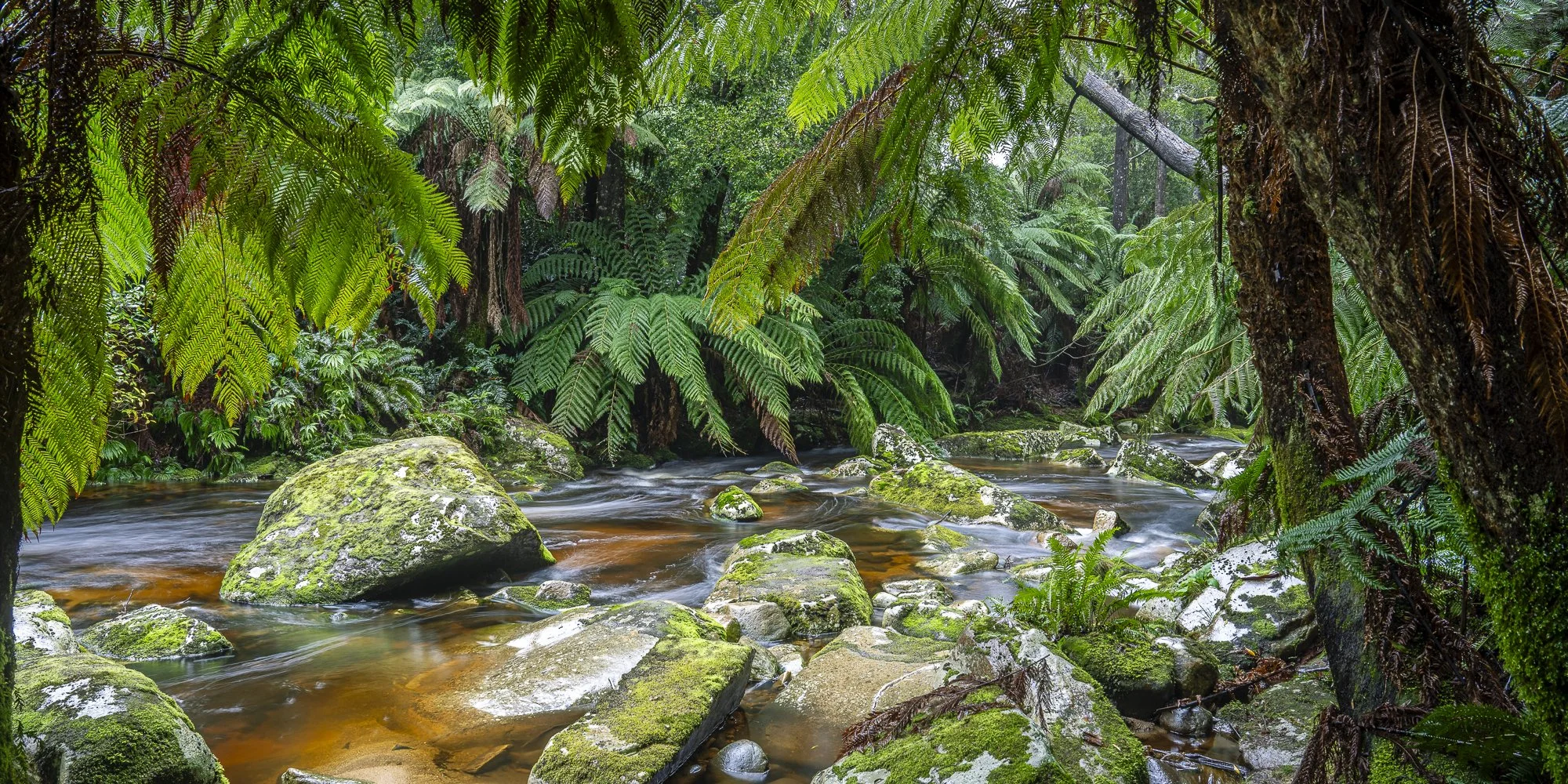 WPA - 062 - Peace and Tranquility