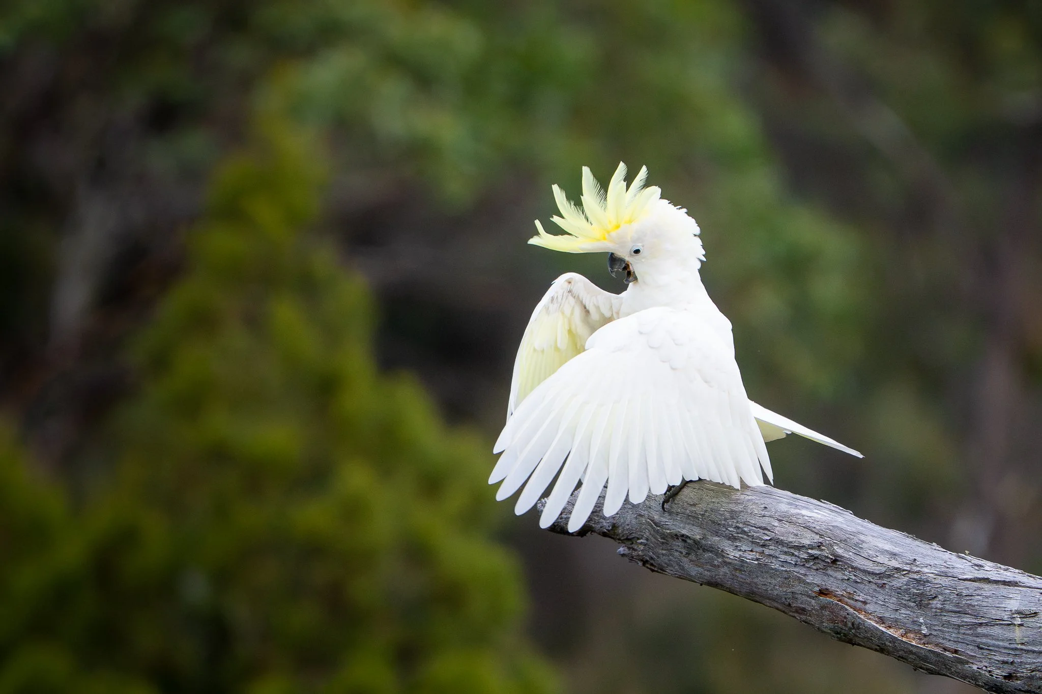 untitled (4 of 14).jpg