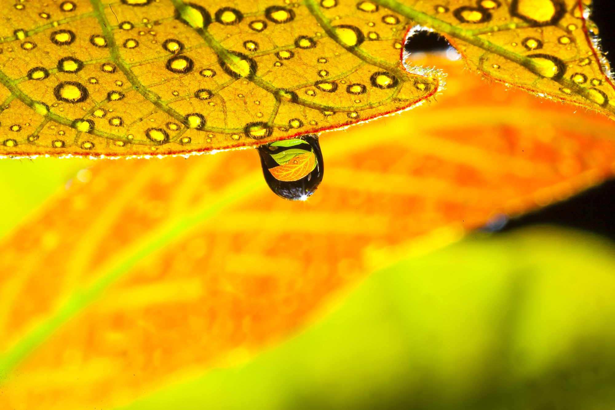 _MG_0751-2.jpg