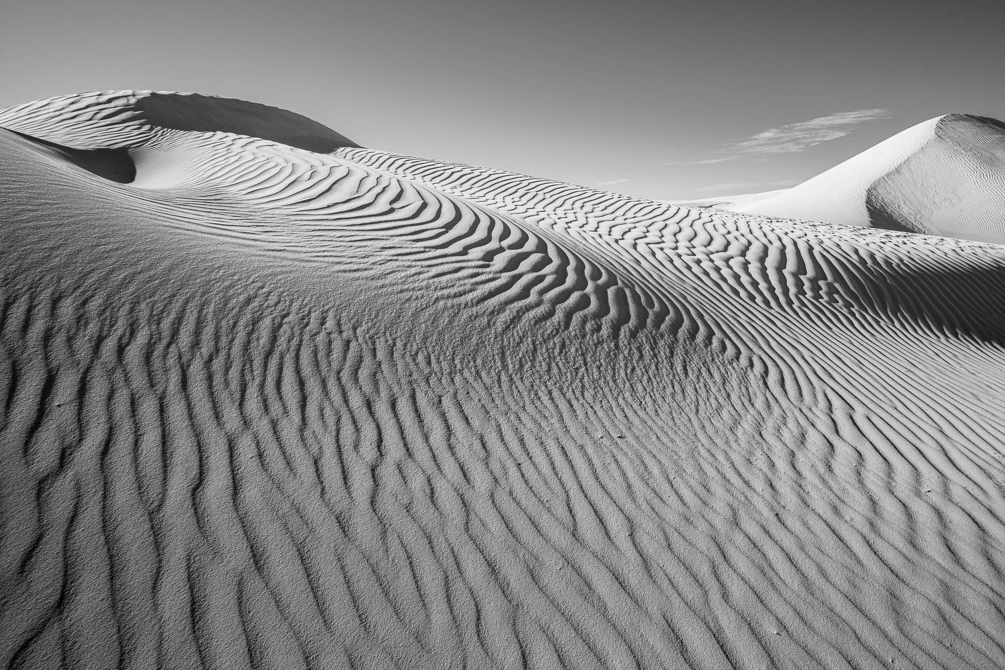 _DSC8865.jpg