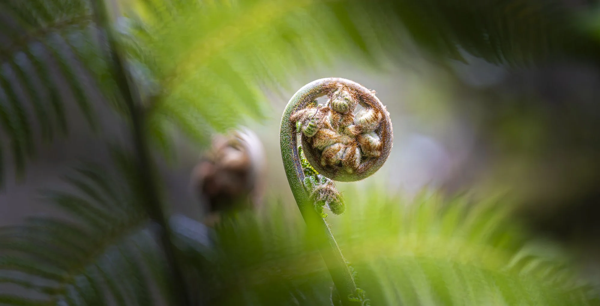 WPA - 059 - Magic Swirls and Patterns