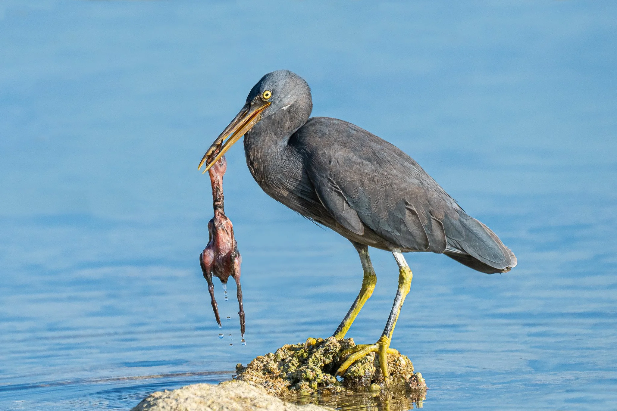 untitled (8 of 13).jpg