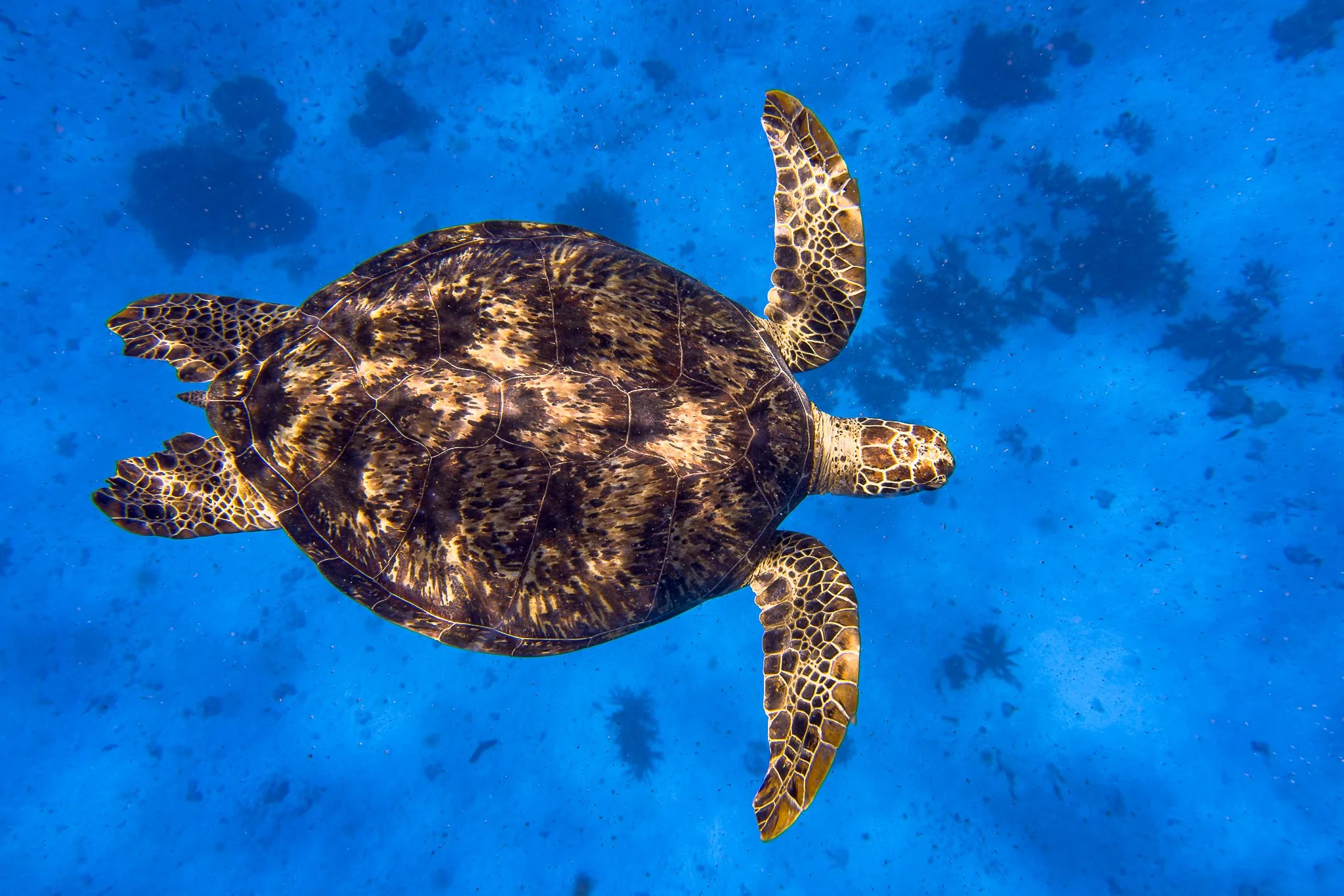 untitled (13 of 13).jpg