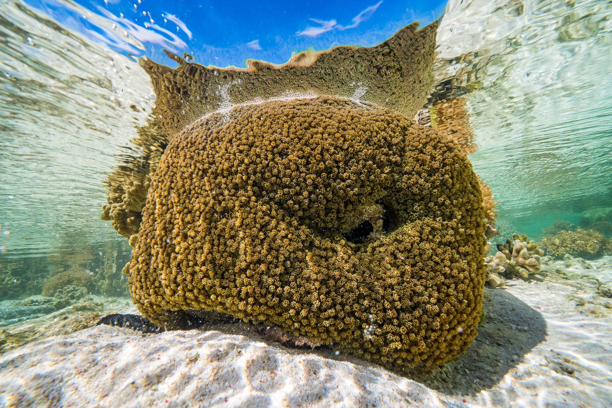 untitled (3 of 13).jpg