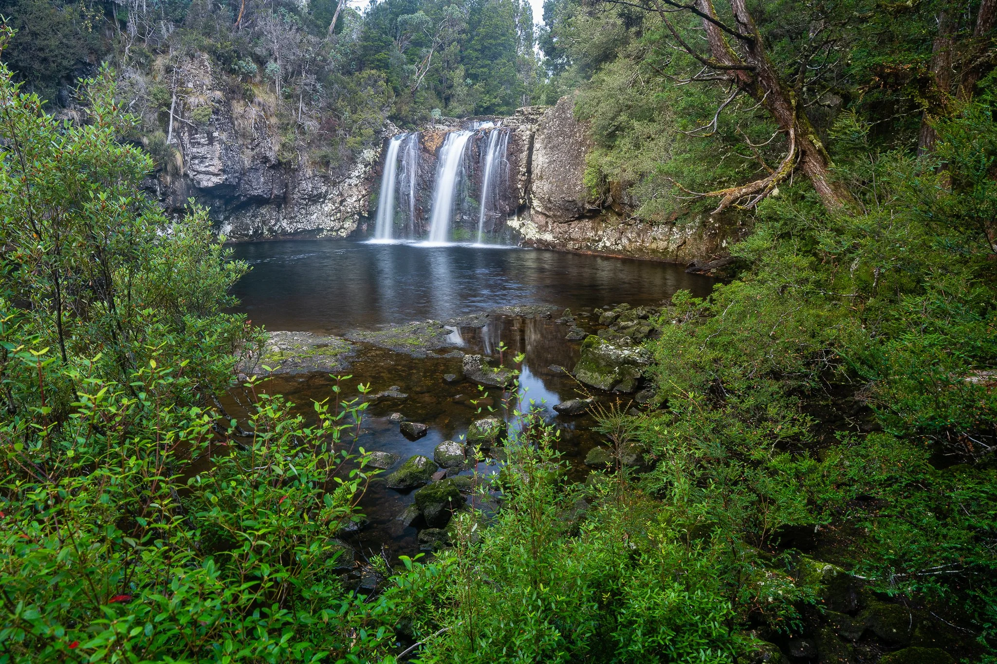 untitled (5 of 14).jpg