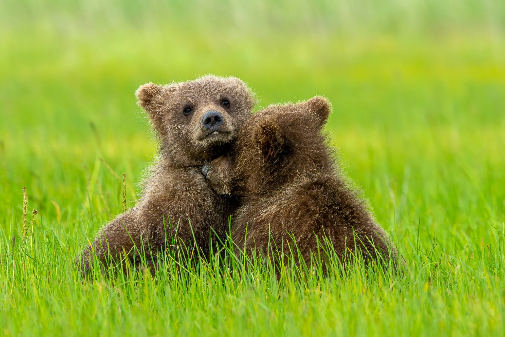 untitled (1 of 4).jpg