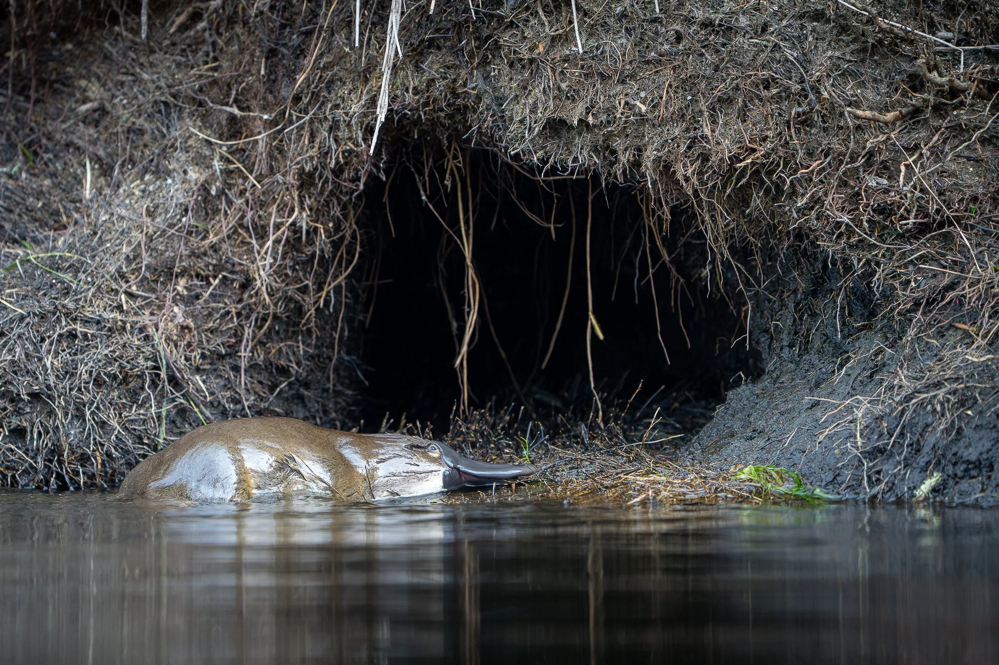 untitled (1 of 14).jpg