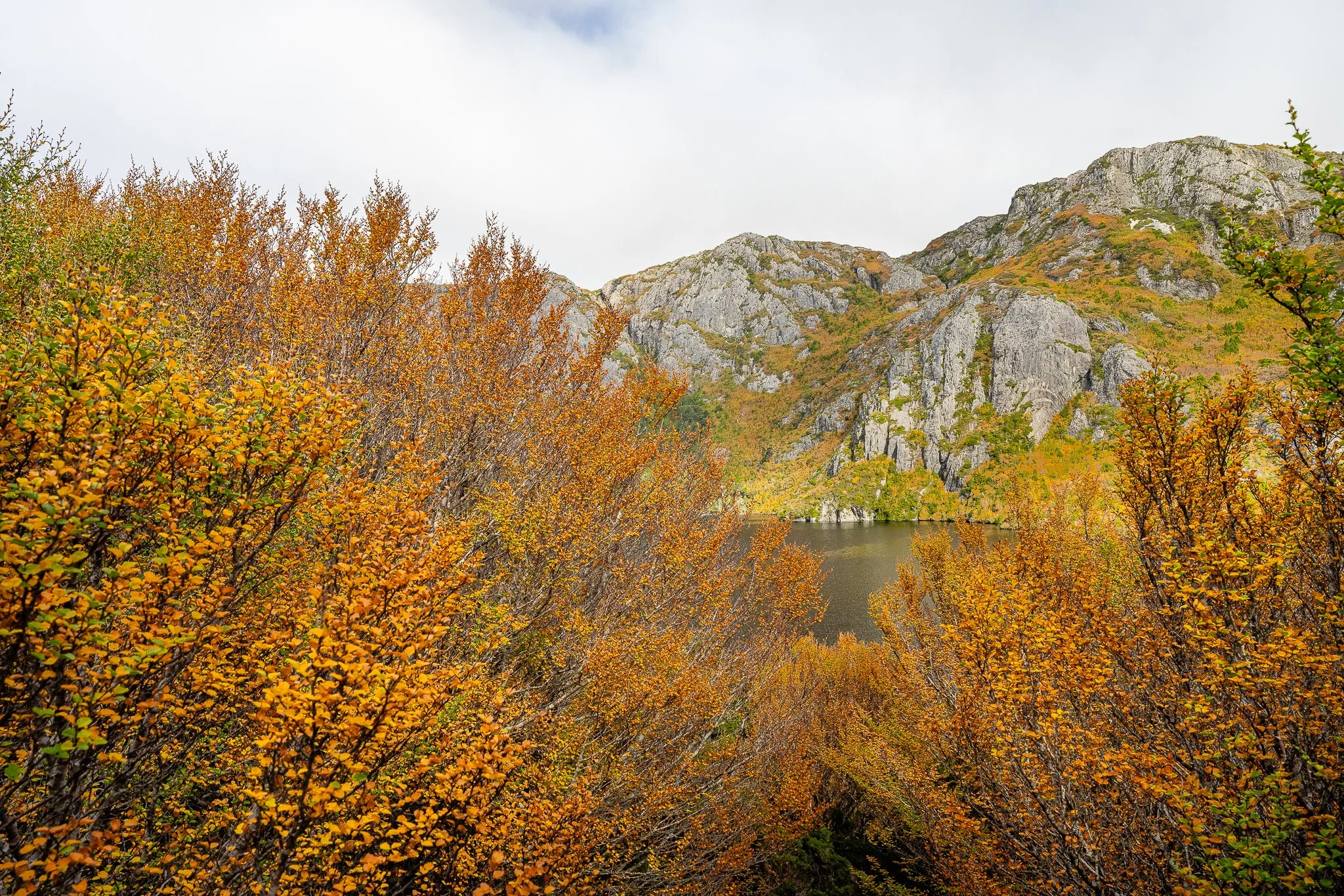 untitled (10 of 14).jpg