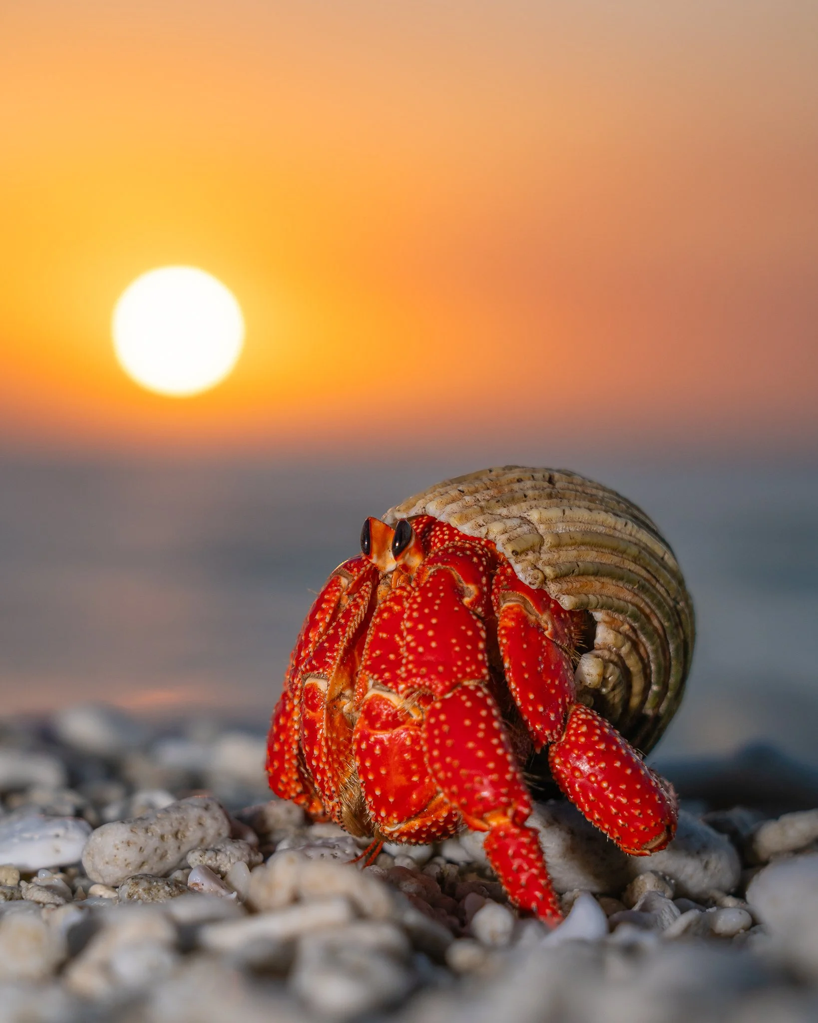 untitled (5 of 13).jpg