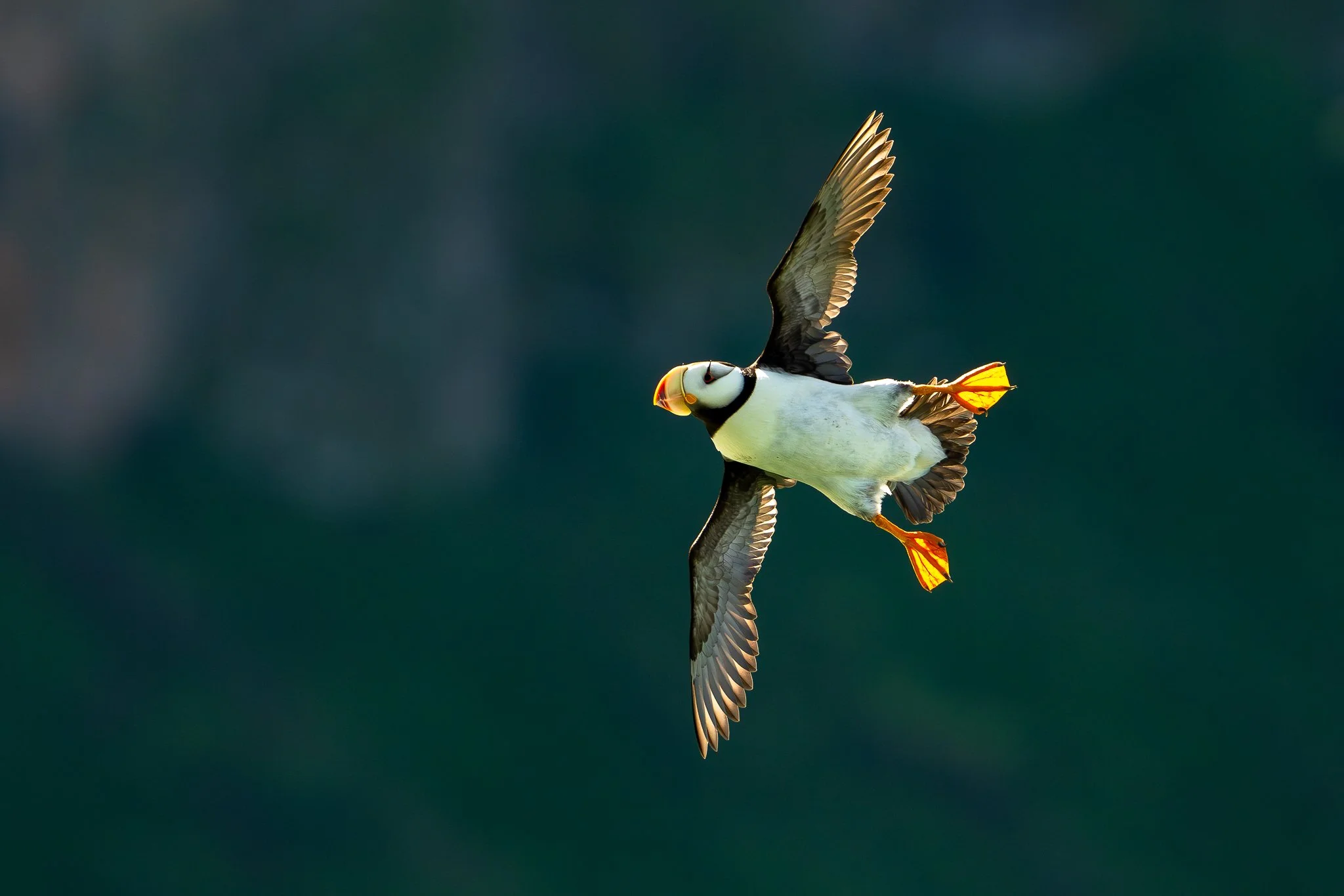 untitled (2 of 4).jpg