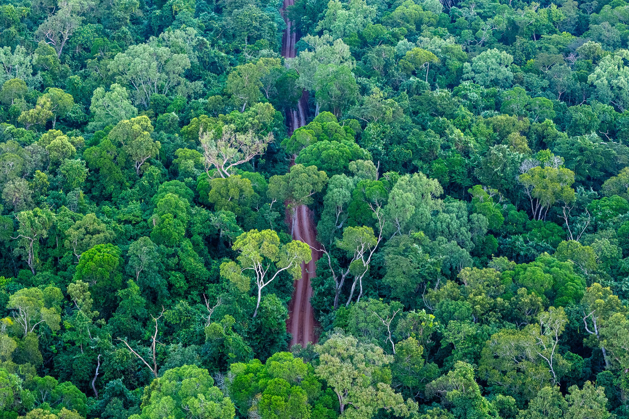 DJI_20250613070253_0058_D.jpg