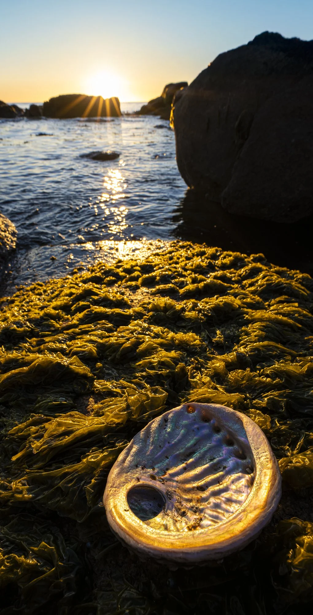 WPA - 058 - Washed Ashore