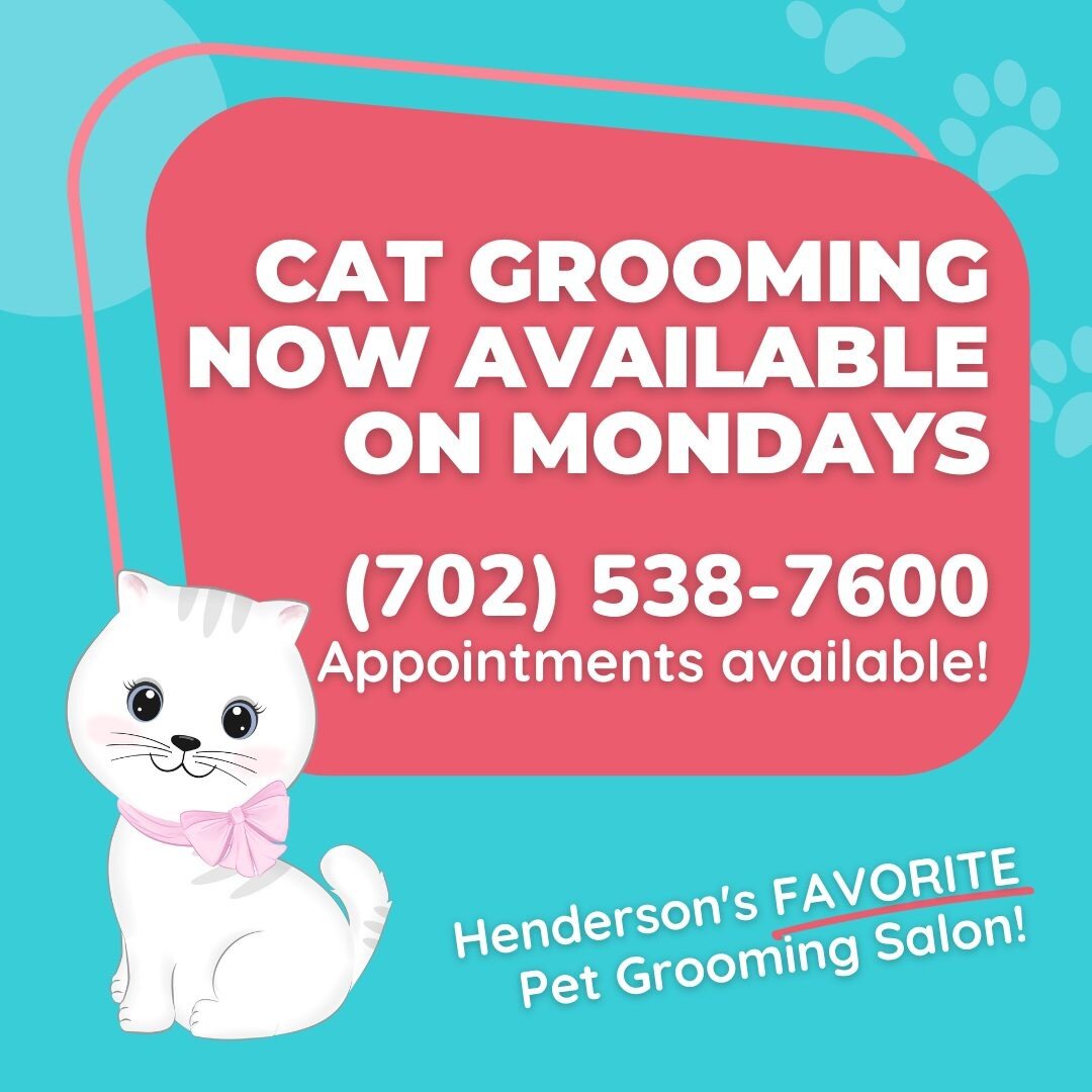 We're happy to bring cat grooming to our salon. Call us to book your appointment today! Cat grooming is available only on Mondays.