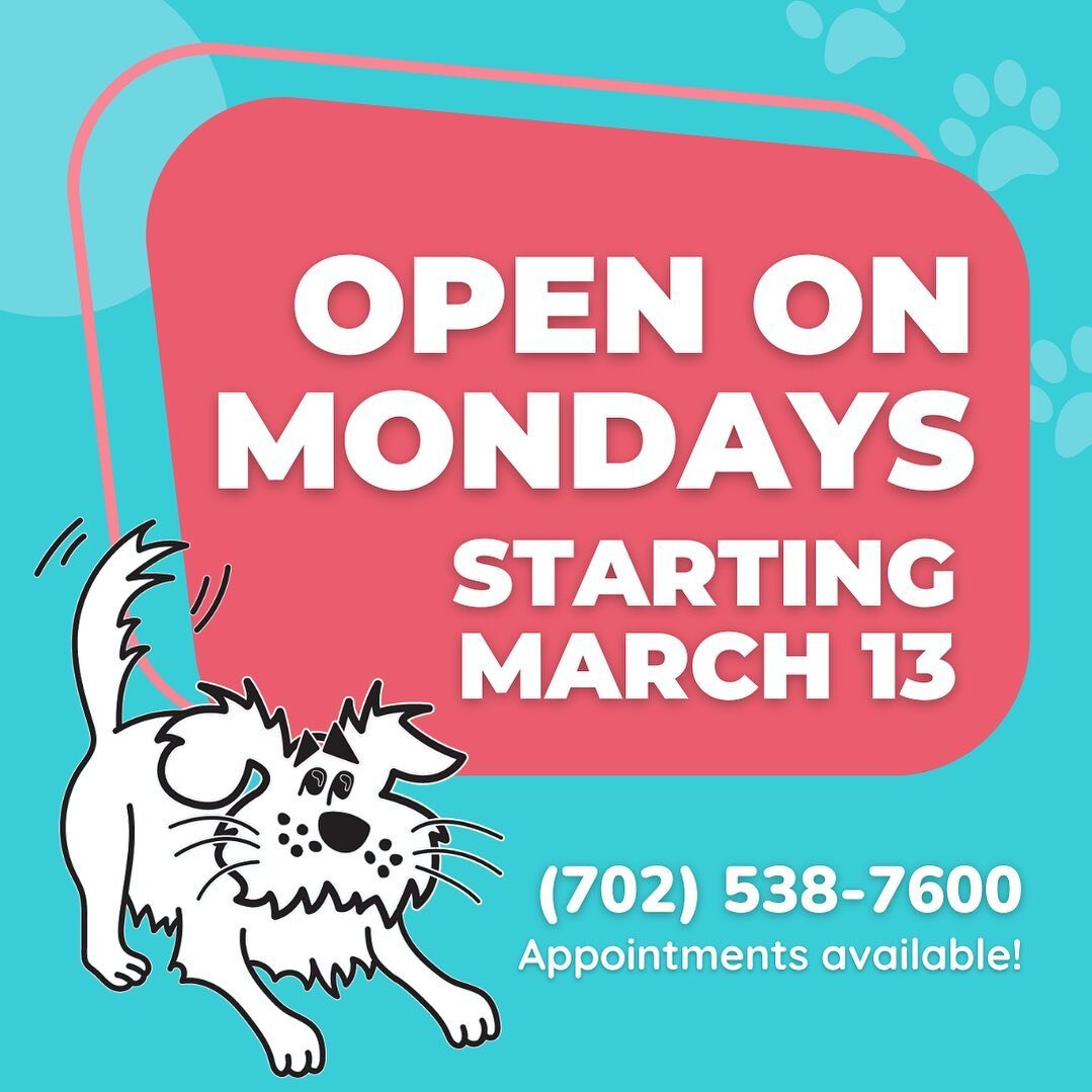 Give us a call and book your next appointment. We&rsquo;re excited to be opening our shop on Mondays, beginning next week!