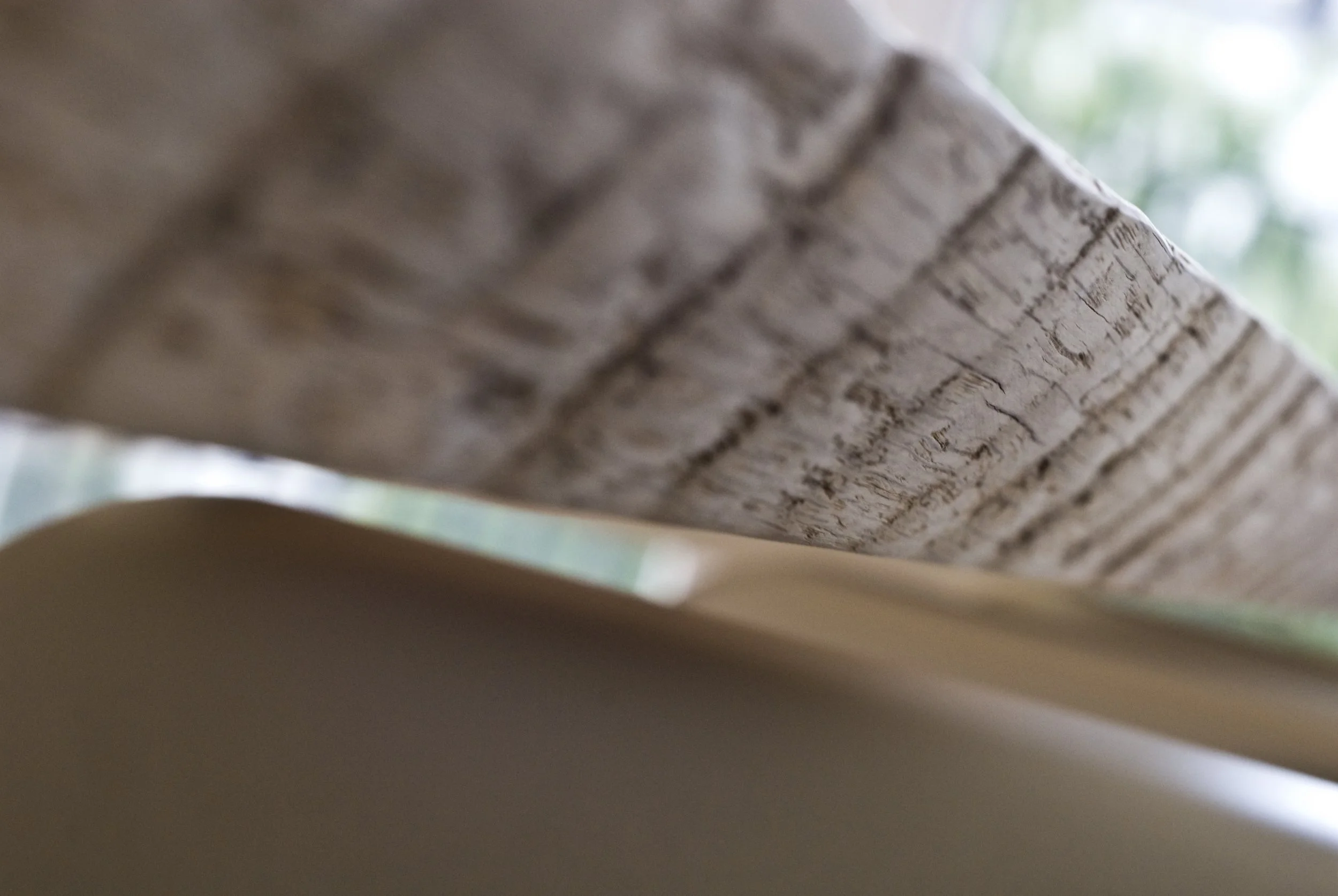 Tischplatte Eiche Baumkante 