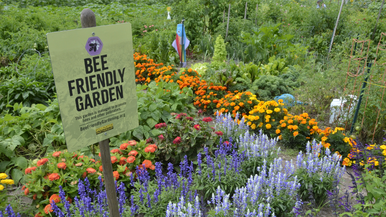 Sanderson Gulch Food Forest Community Perennial Planting Day