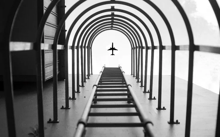 nikon photo contest image withdrawn