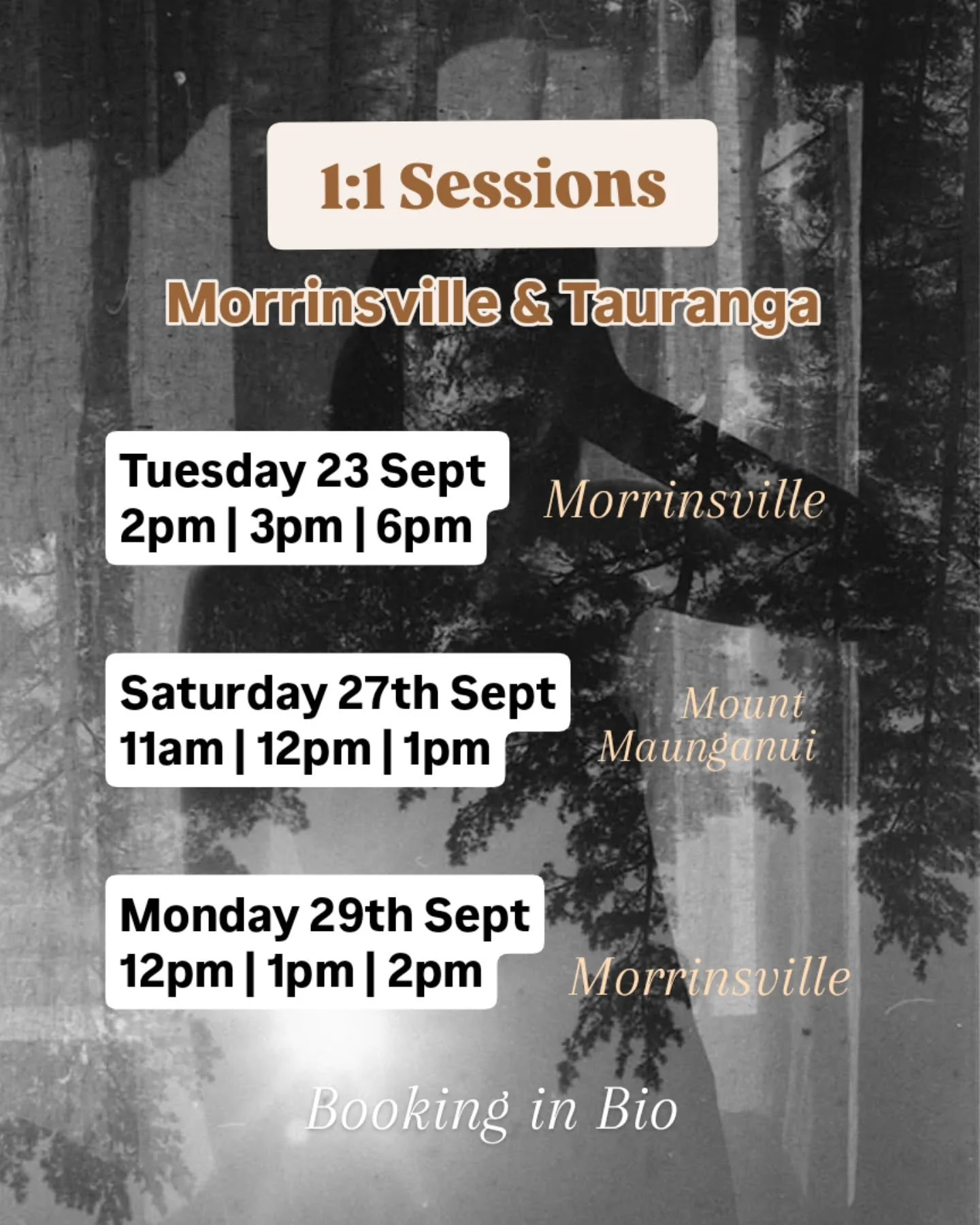 ✨ Now Offering Limited In-Person Sessions in Aotearoa ✨

While I walk these familiar lands for a little while longer, I&rsquo;m opening a few quiet spaces &mdash; for those who feel the stir, the ache, the knowing.

These sessions are not about fixin