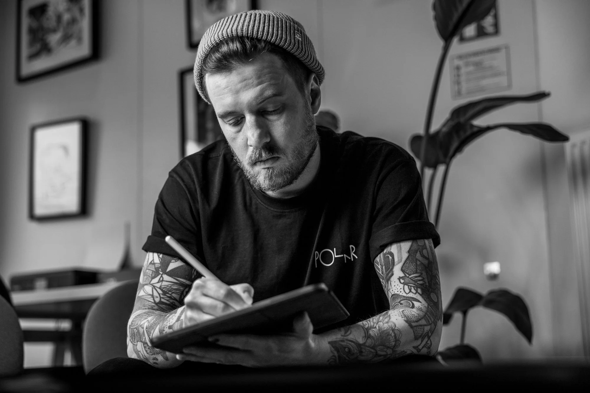 Birdlaw-Tattoo-Hero.jpg