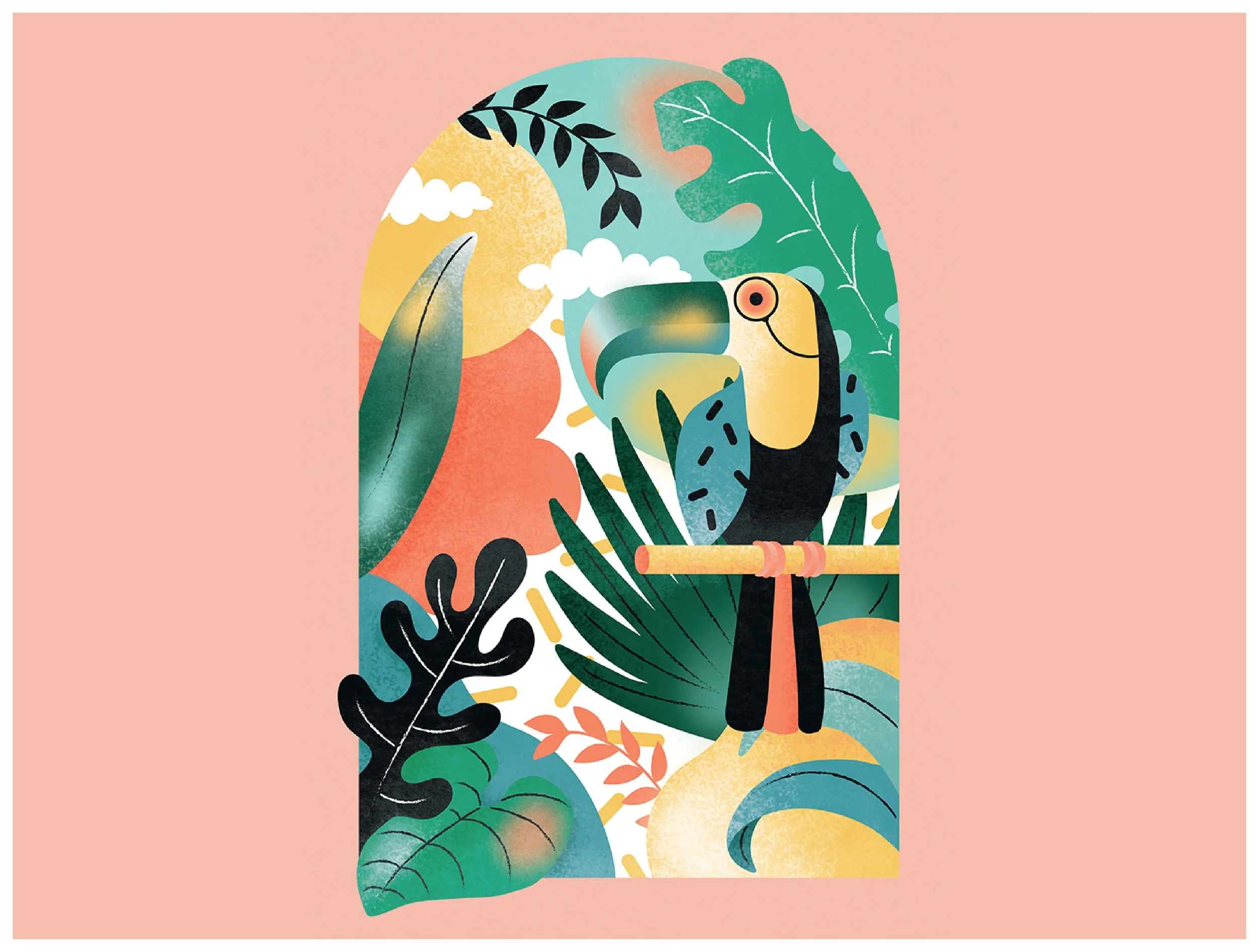Toucantoco