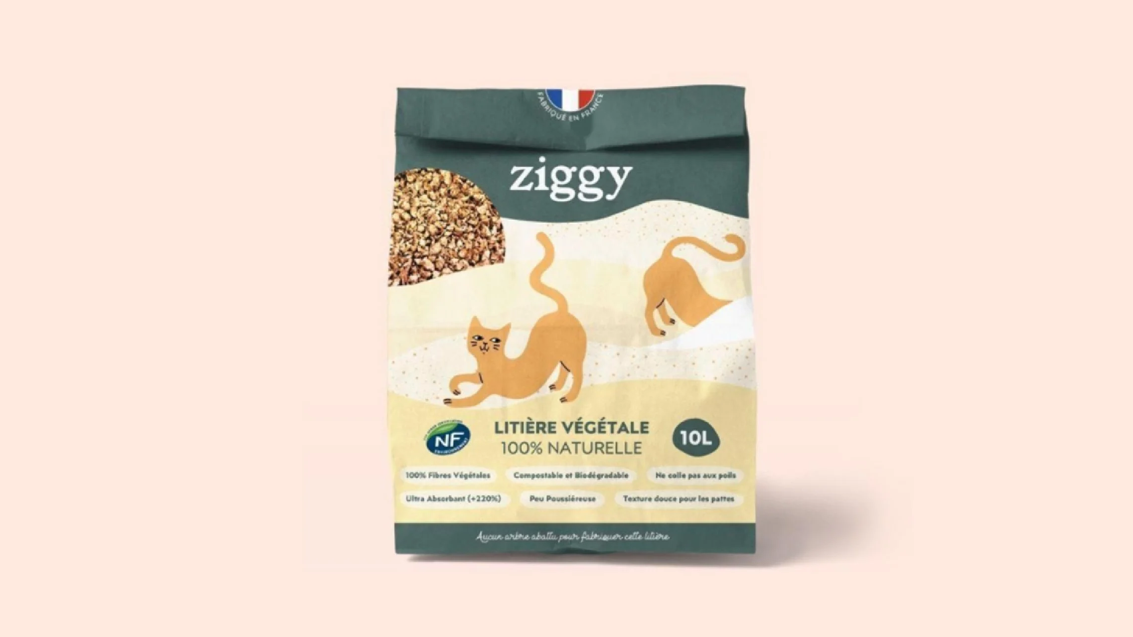 ziggy_image3.jpg