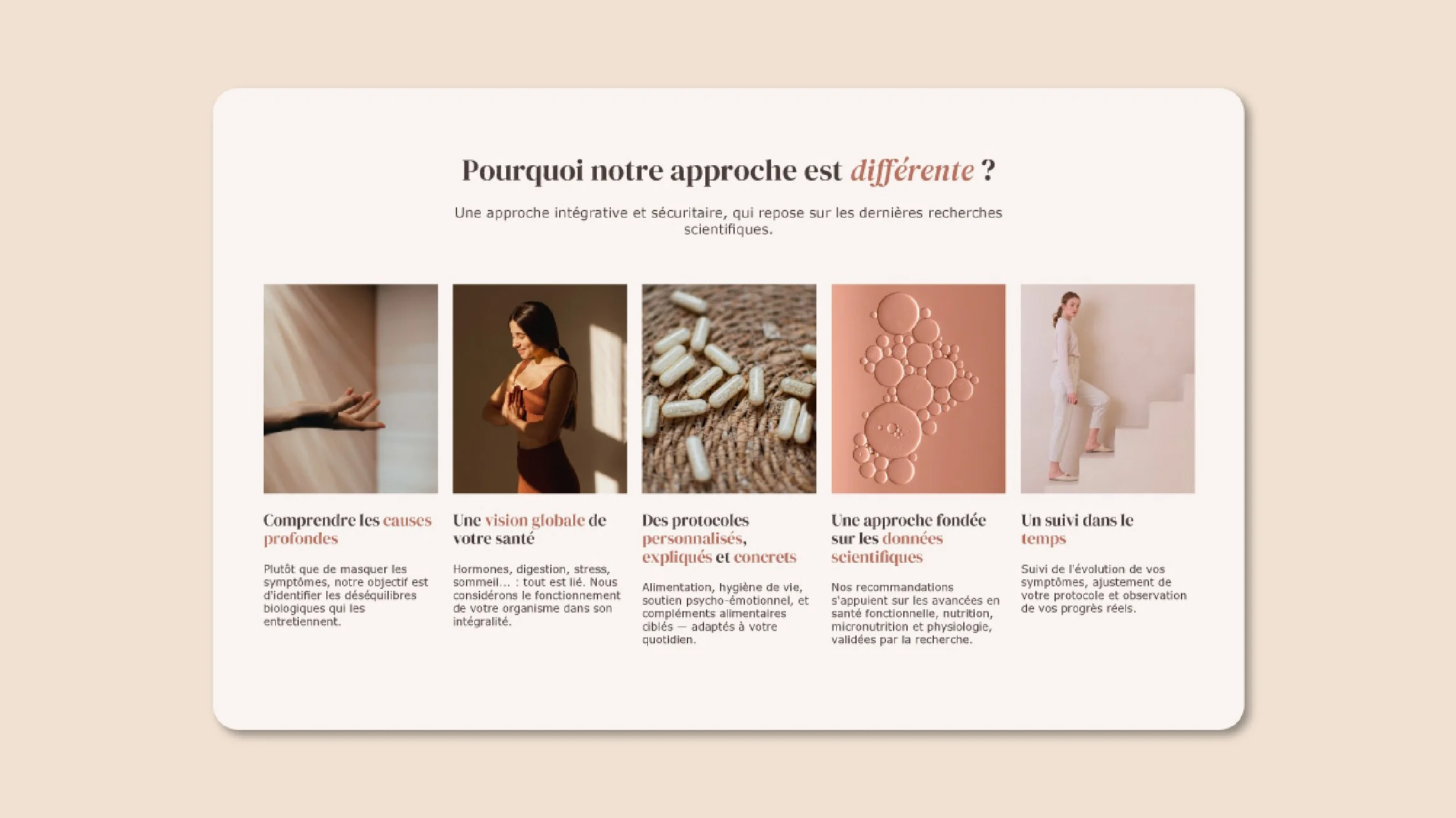 hormee_image3.jpg