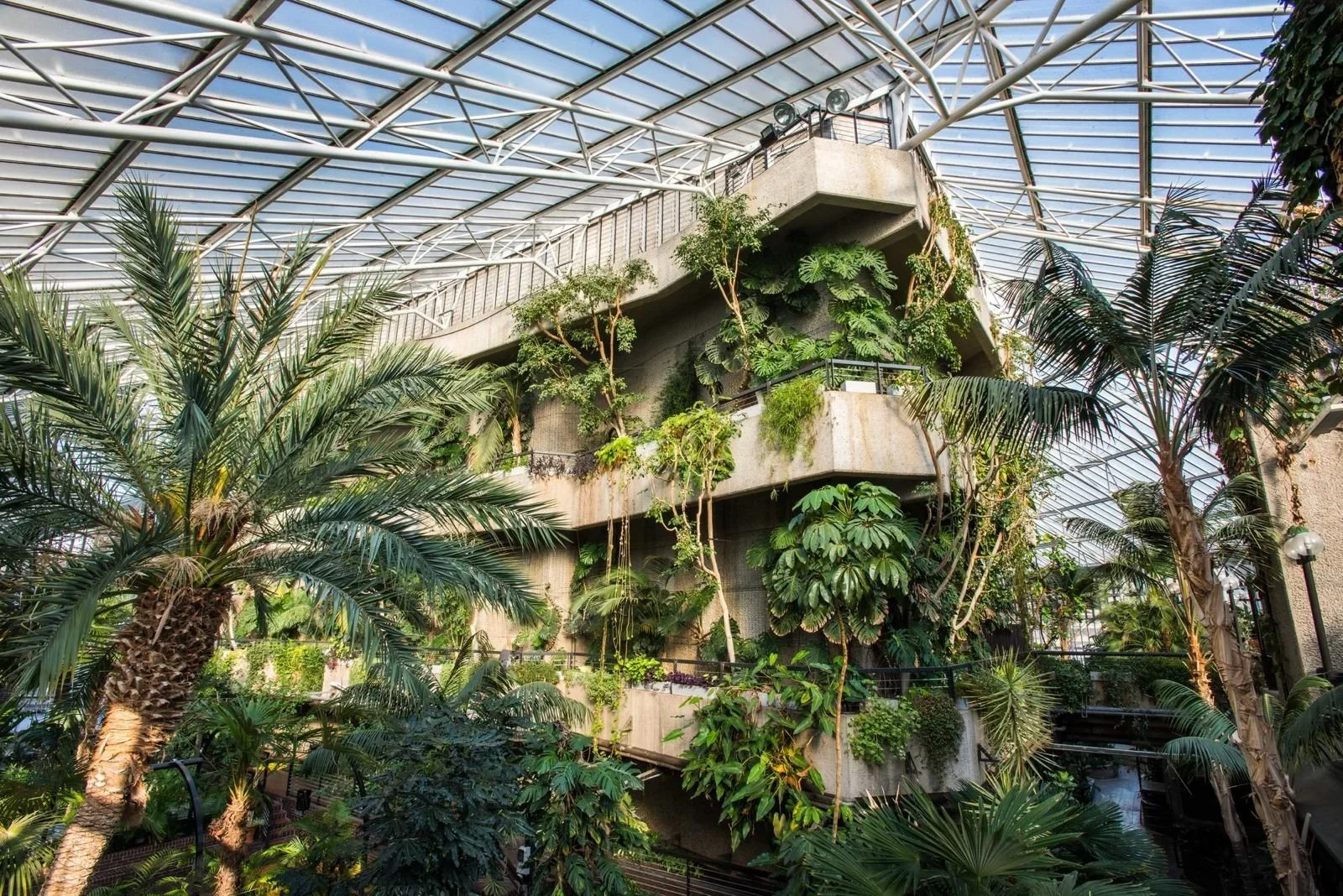 Spotlight On: The Barbican Conservatory