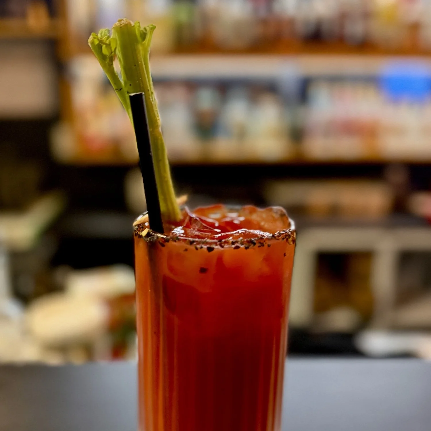 A Bloody Mary cocktail garnished with celery in a tall glass with a salted rim.